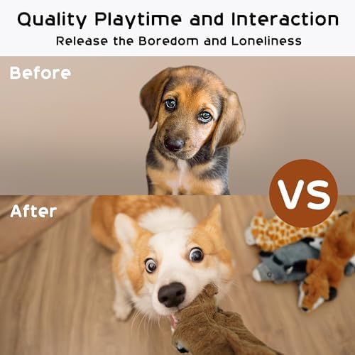 Nocciola 5 PCS Crinkle Dog Squeaky Toys, Durable Plush Dog Toys, No Stuffing Dog Toys for Small Medium Large Dogs, Stuffless Puppy Toys for Boredom and Stimulating - Image 3