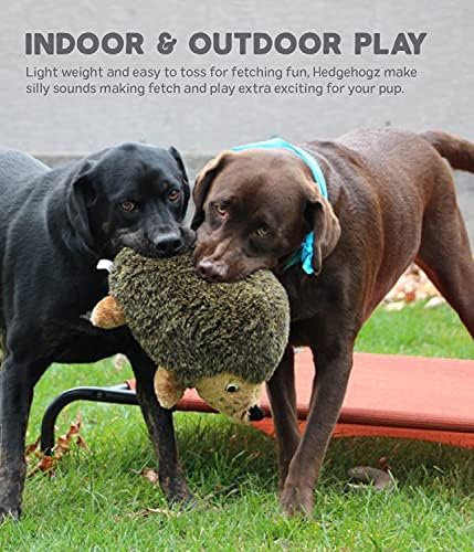 Outward Hound, Hedgehogz Plush Dog Toy, Medium - Image 5