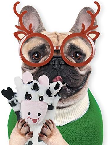 SHARLOVY Dog Squeaky Toys 5 Pack, Pet Toys Crinkle Dog Toy No Stuffing Animals Dog Plush Toy Dog Chew Toy for Large Dogs and Medium Dogs Squeeky Doggie Toys 5 Pack for Large Dogs Multi-Colored - Image 8