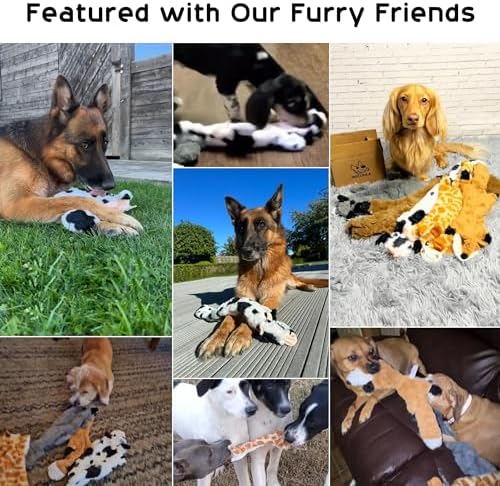 Nocciola 5 PCS Crinkle Dog Squeaky Toys, Durable Plush Dog Toys, No Stuffing Dog Toys for Small Medium Large Dogs, Stuffless Puppy Toys for Boredom and Stimulating - Image 6